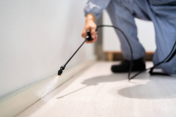 Licensed Rodent Control service in Richfield Springs, NY - Nex Pest Control