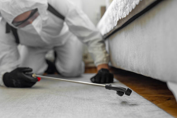 Professional Rodent Control technician working in Richfield Springs, NY