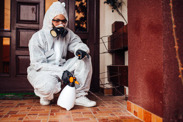 Reliable Rodent Control contractor in Richfield Springs, NY by Nex Pest Control