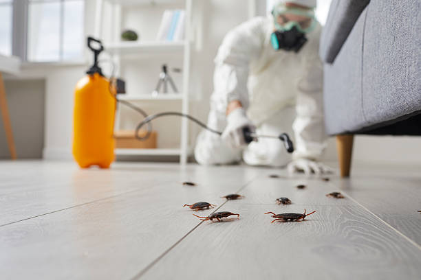 Trusted Rodent Control service in Richfield Springs, NY - Nex Pest Control