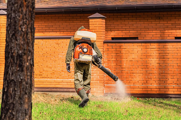 Trusted Emergency Pest Control service in Richfield Springs, NY - Nex Pest Control